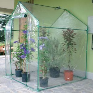 Serra Clematis - a casetta - 155 x 155 x 205 cm - acciaio verniciato/PVC - verde/trasparente - Verdemax - immagine 2